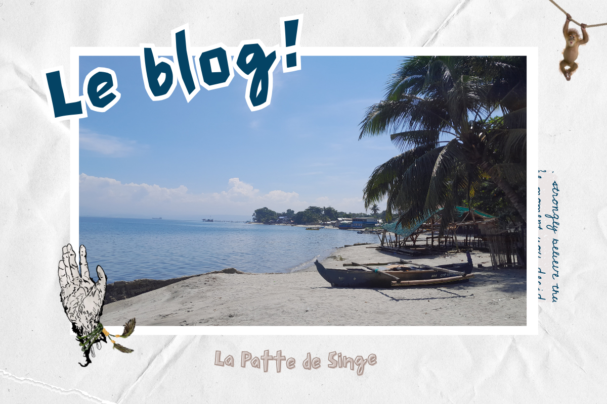 blog - la patte de singe