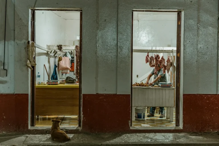 Corée du Sud Vian de chien